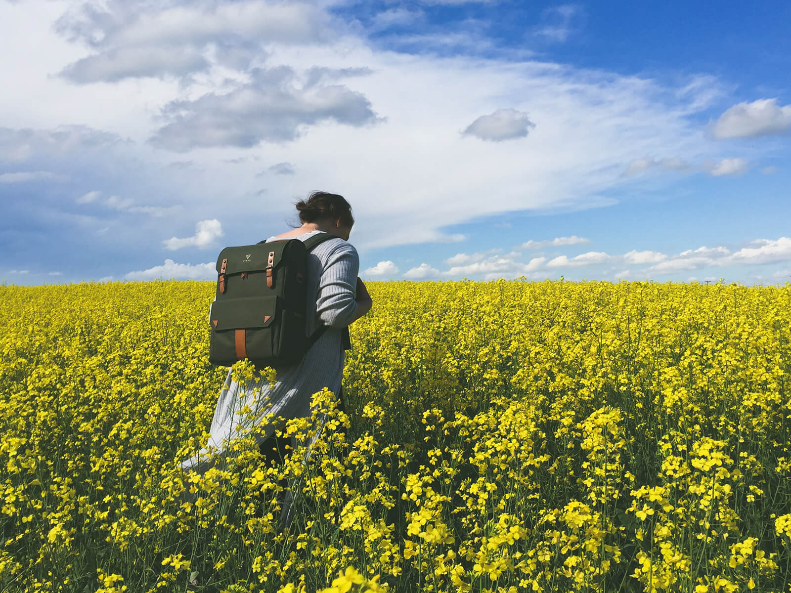 Der Wander im Rapsfeld mit einen langen Titel. Eigentlich ist der Titel zu lang, aber es ist eben so wie es ist, da kann man leider nichts machen. (c) CC0 1.0 - Public Domain (von unsplash.com)
